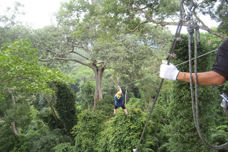 Thailand, Pattaya, Flight of the Gibbon